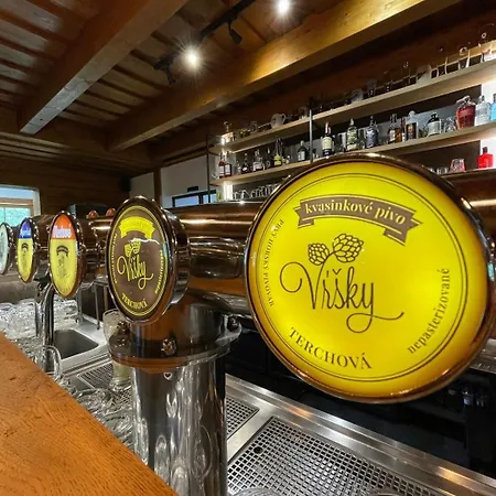 Apartment Drevenica Veverica V Terchovej