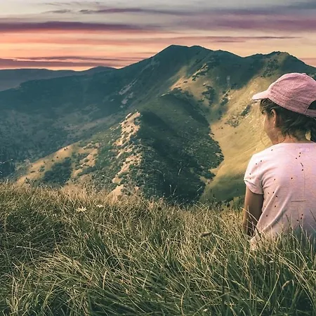 Drevenica Veverica V Terchovej
