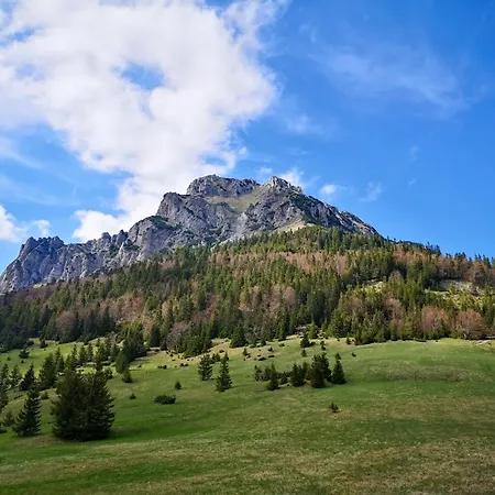 Drevenica Veverica V Terchovej Terchová