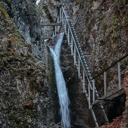 Apartmán Drevenica Veverica V Terchovej *