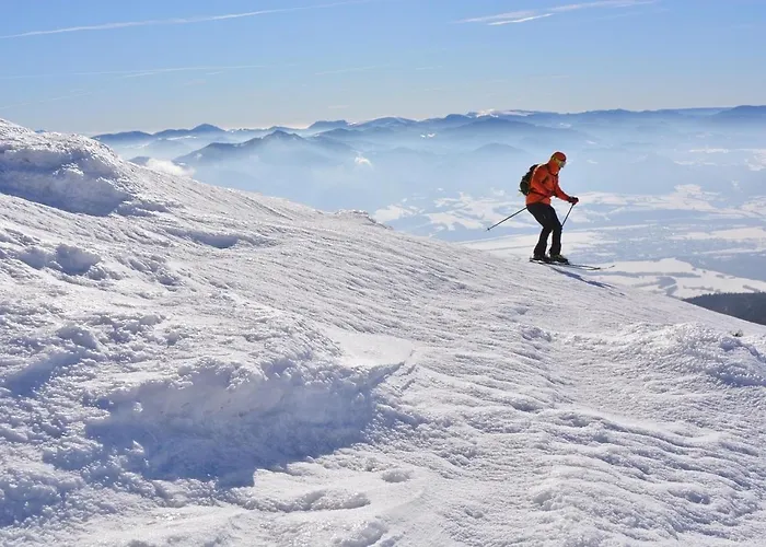 Drevenica Veverica V Terchovej