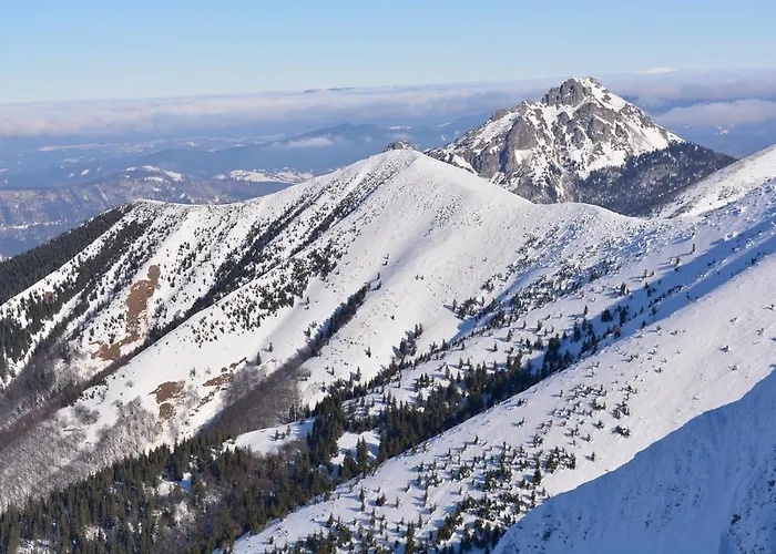 アパート Drevenica Veverica V Terchovej