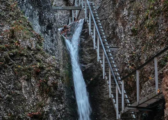 アパート Drevenica Veverica V Terchovej *